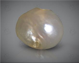 NATURAL PEARL / MOTI (BAS) 1.55 CTS.. ( 0011(12) )